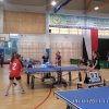 Tenis_polfinal