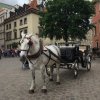 Warszawa_0619